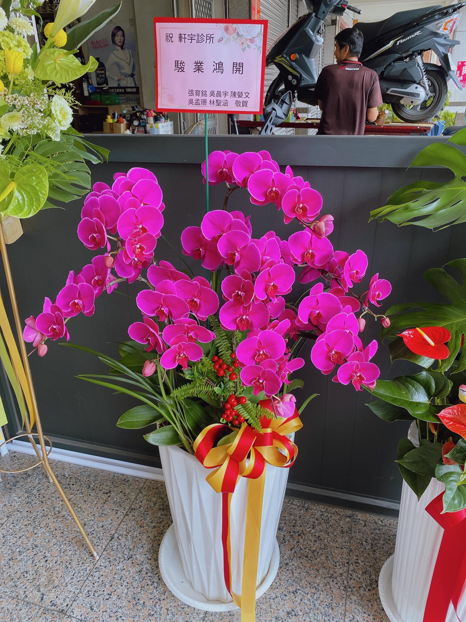 ~典雅蘭花盆景~(18)