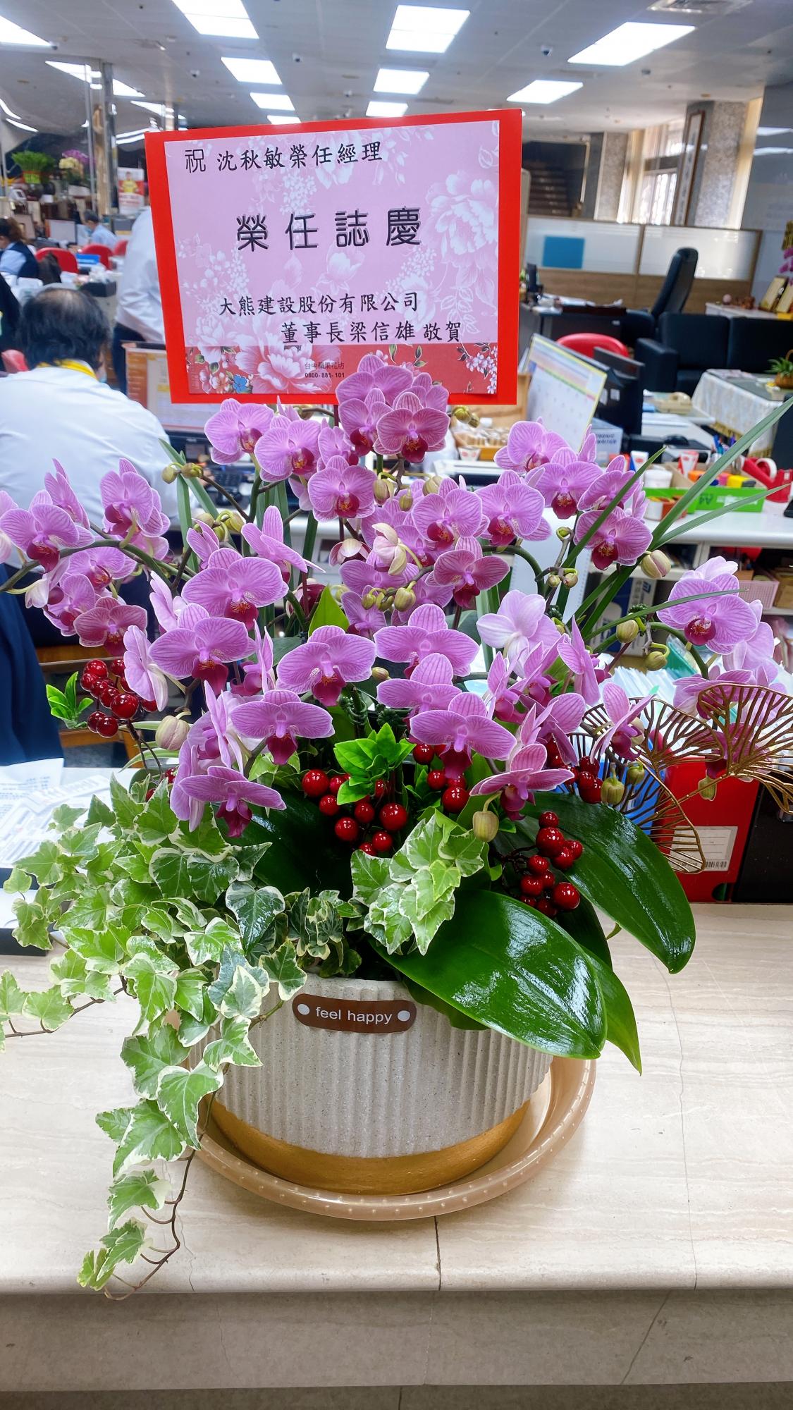 精緻喜氣蘭花盆景