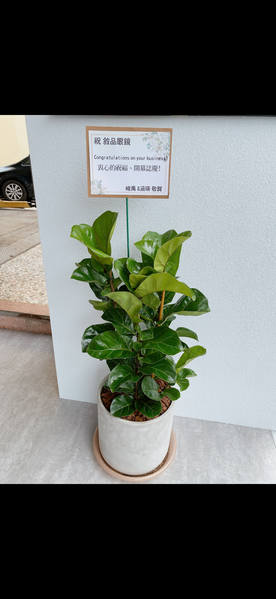 精緻喜氣盆景