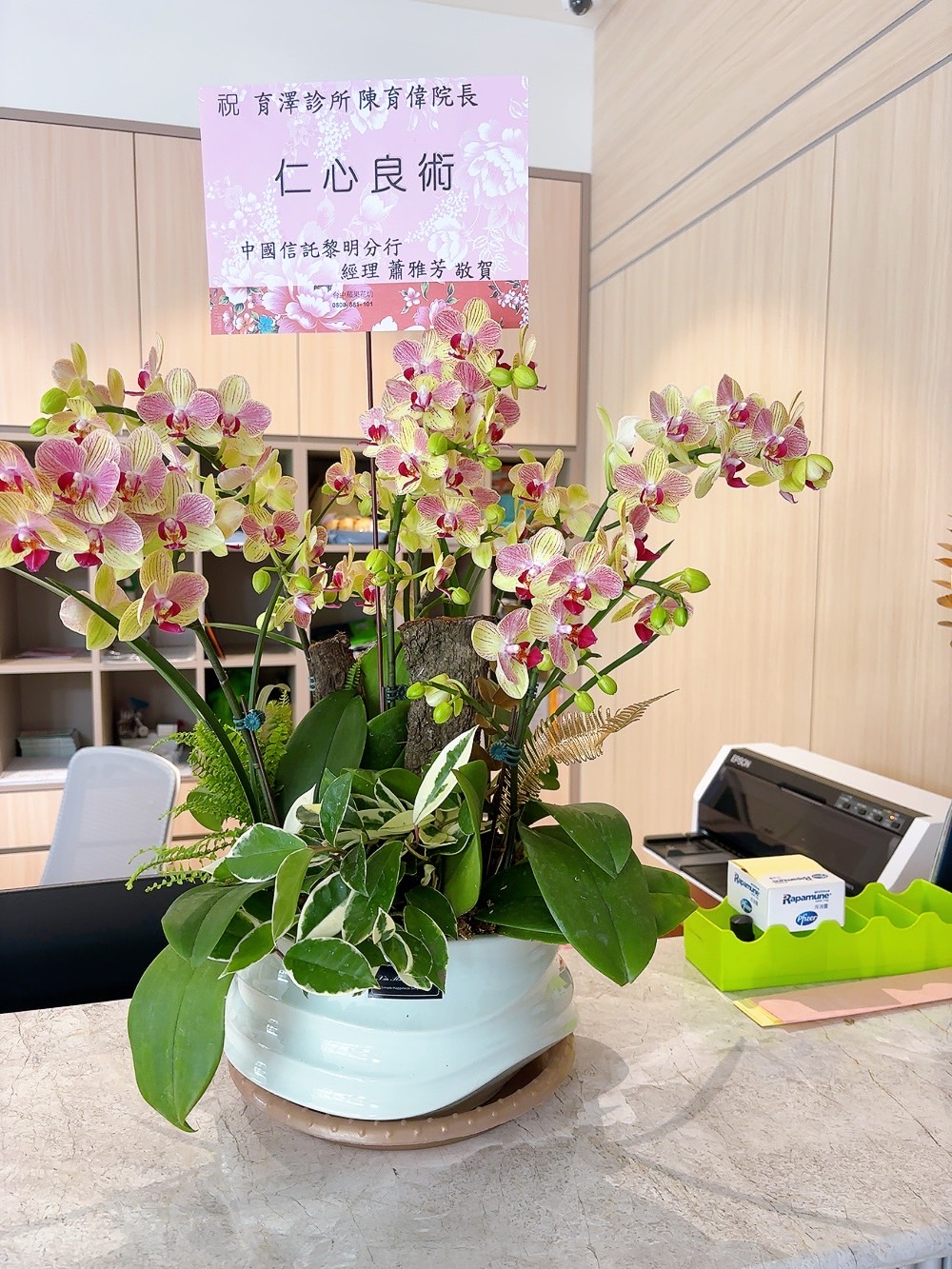 ~典雅蘭花盆景~(35)