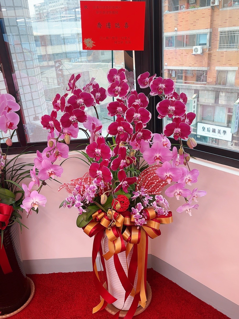 ~典雅蘭花盆景~(22)