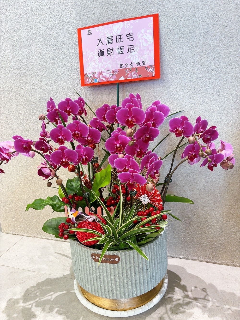 ~典雅蘭花盆景~(17)