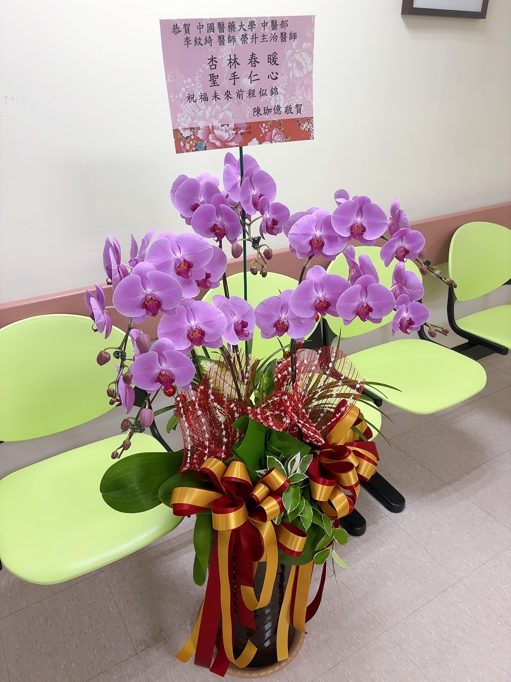  ~典雅蘭花盆景~(11)