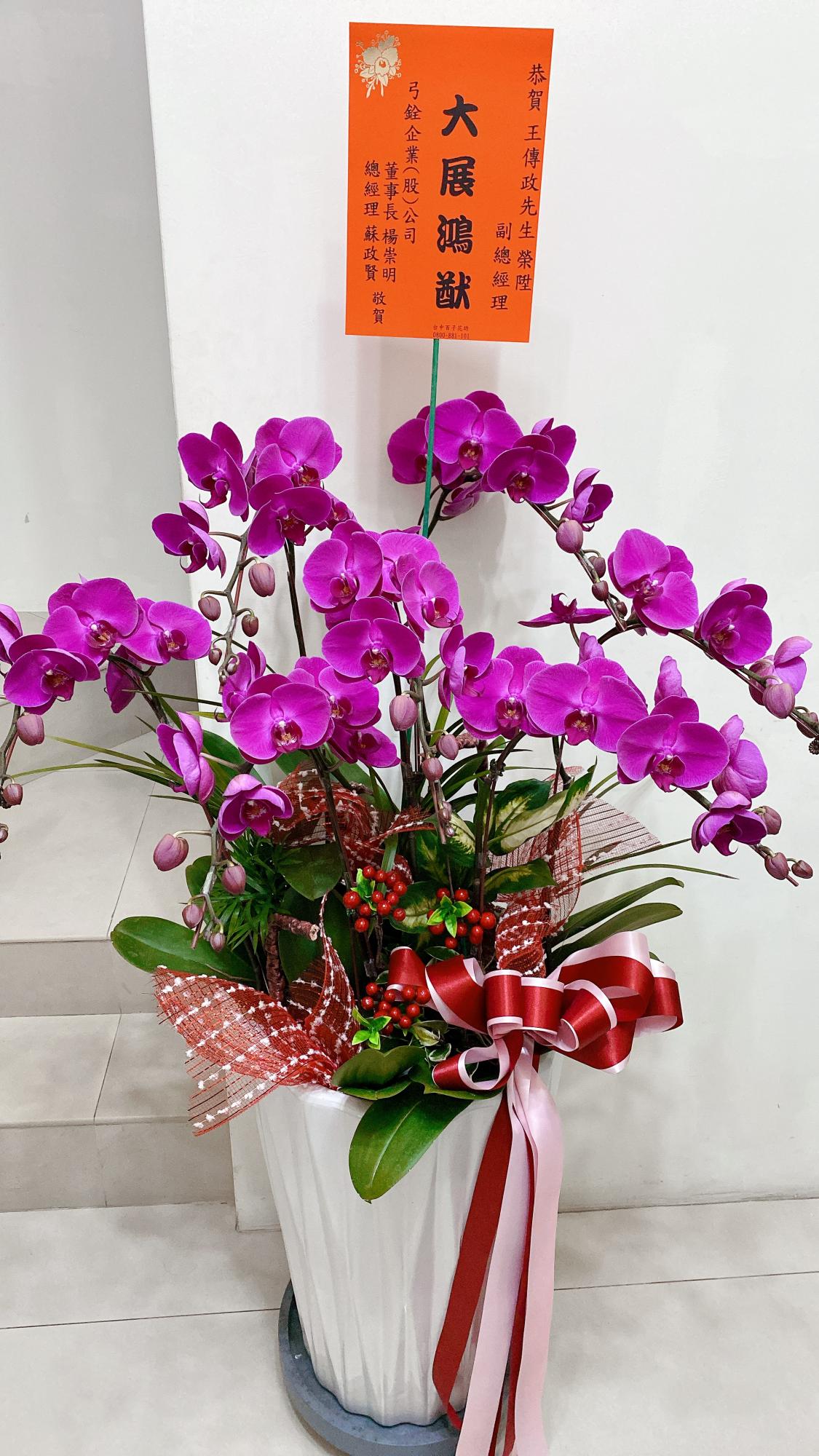 ~ 典雅蘭花盆景~(28)