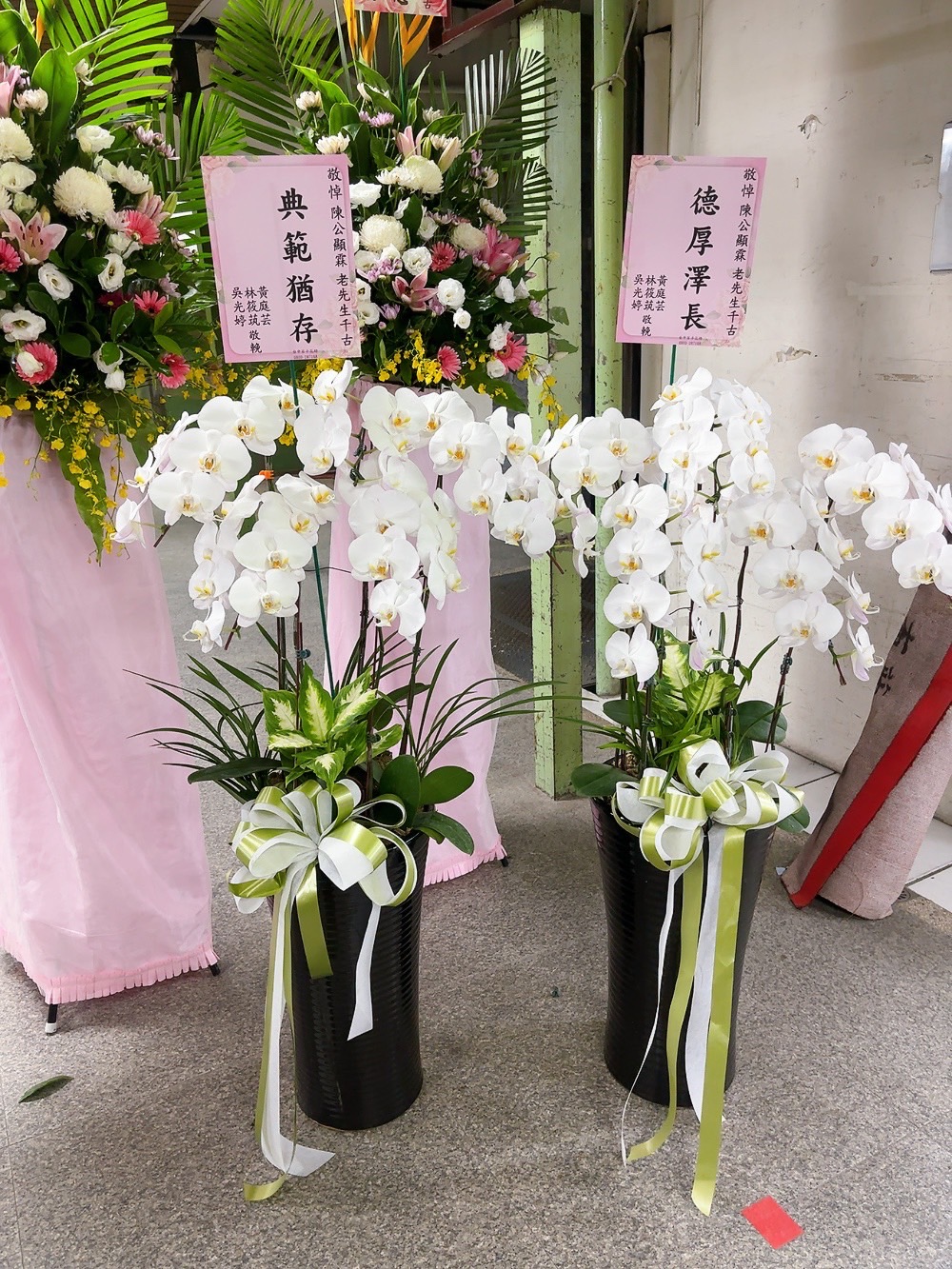 ~白色蝴蝶蘭花~(16)一對