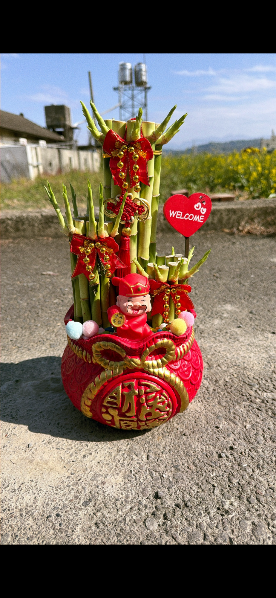 !!招財開運盆景(19)!!