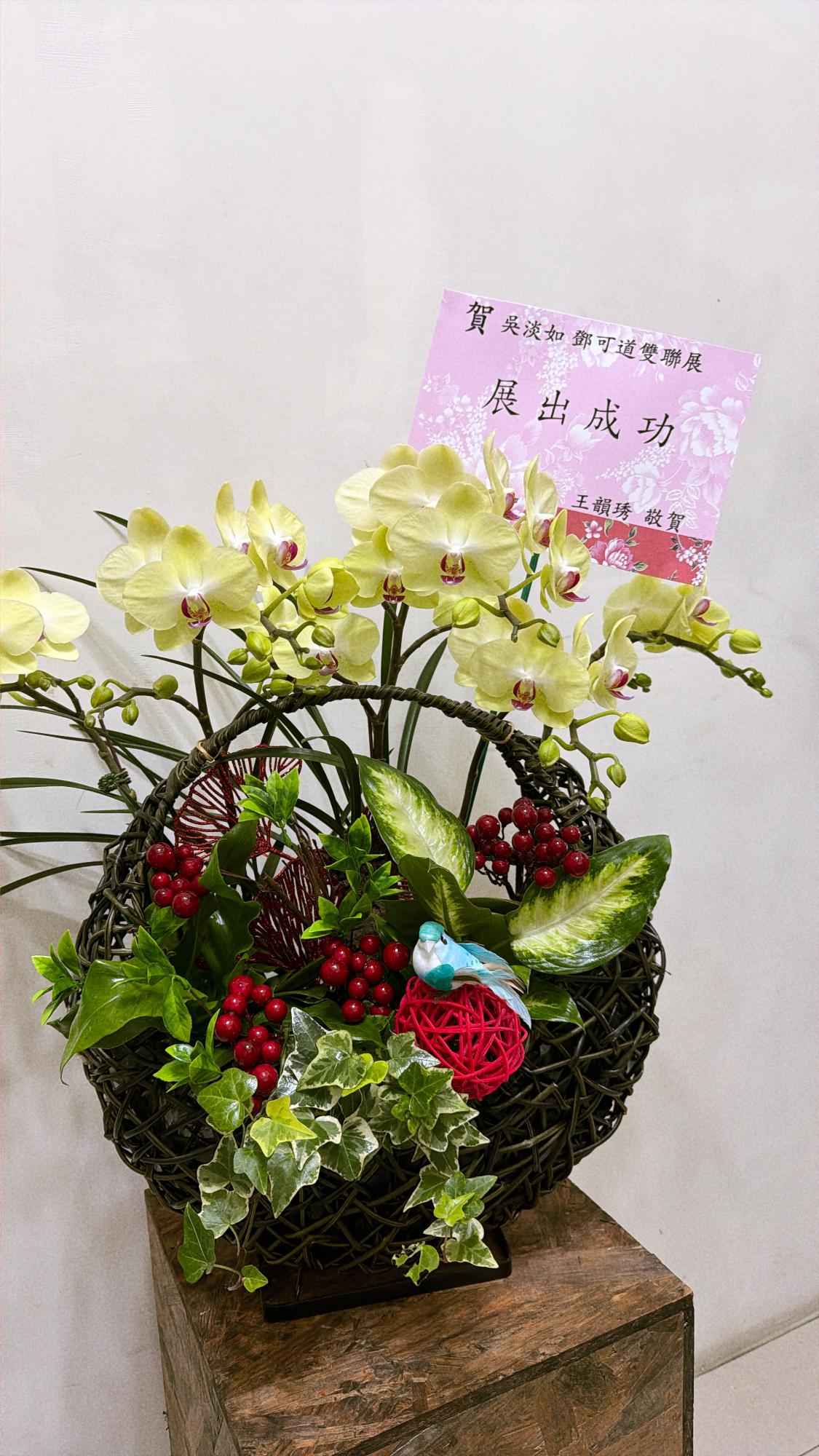 ~典雅蘭花~(7)