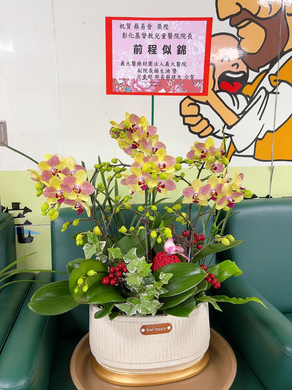~典雅蘭花盆景~(35)